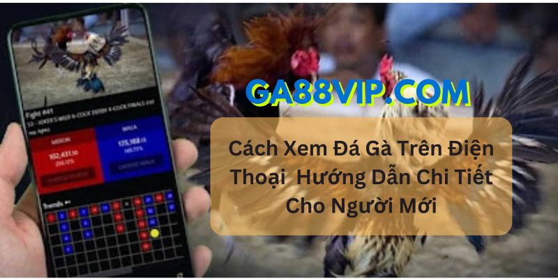 xem trực tiếp đá gà