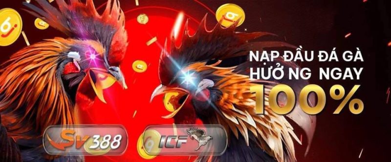 nhận khuyến mãi đá gà
