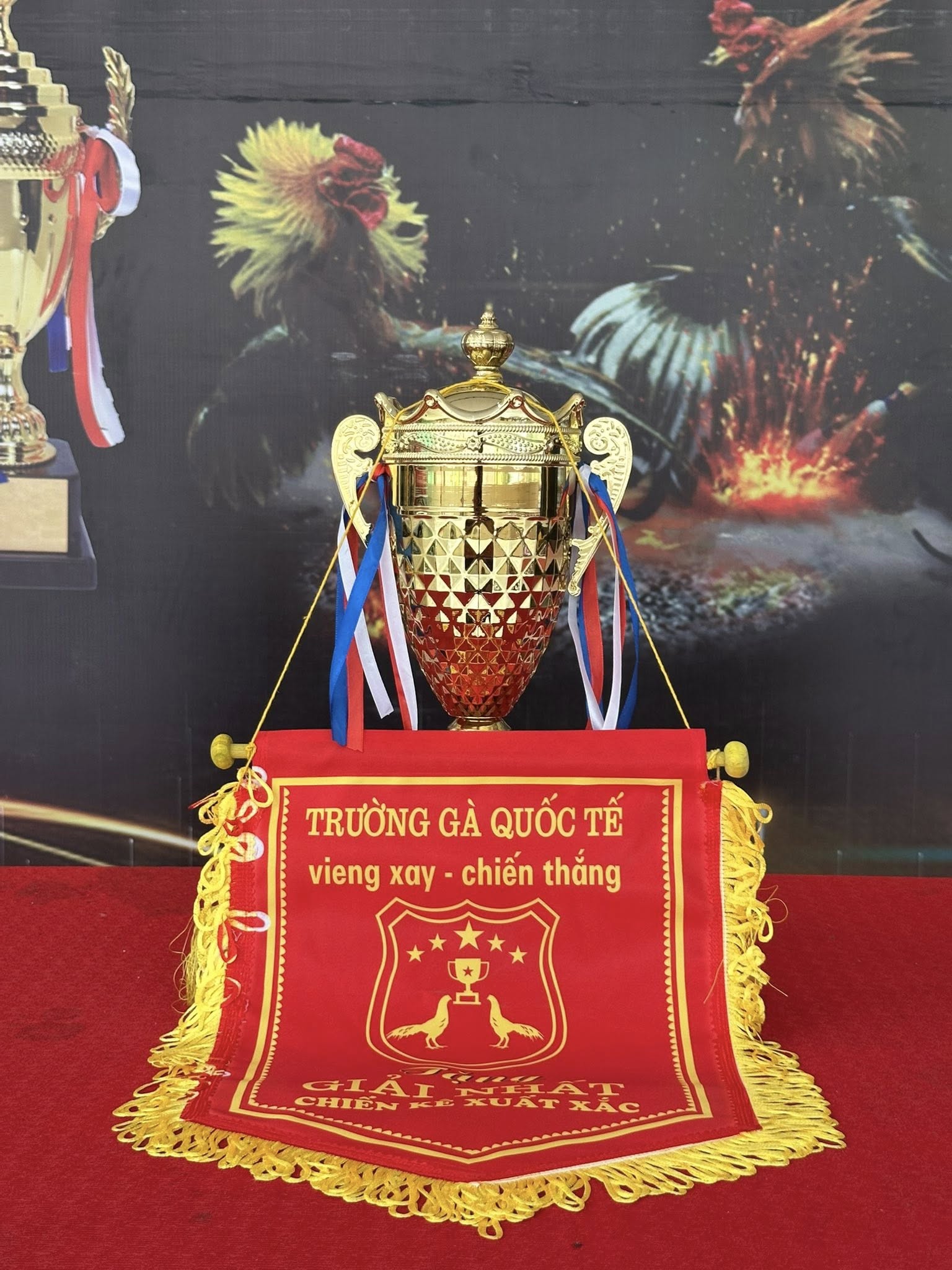 Cup đá gà viengxay